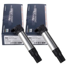 2x BERU Zündspule Zündmodul
